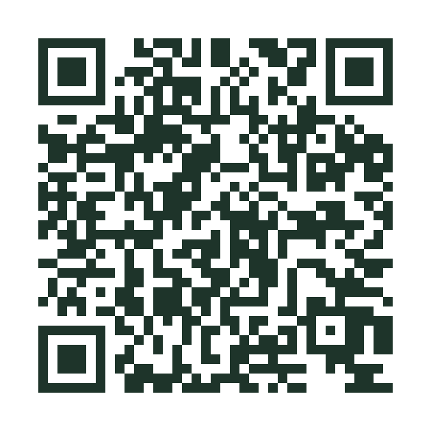 QR Code que abre o formulário oficial de avaliações da Hospedagens Jaguariaíva no Google